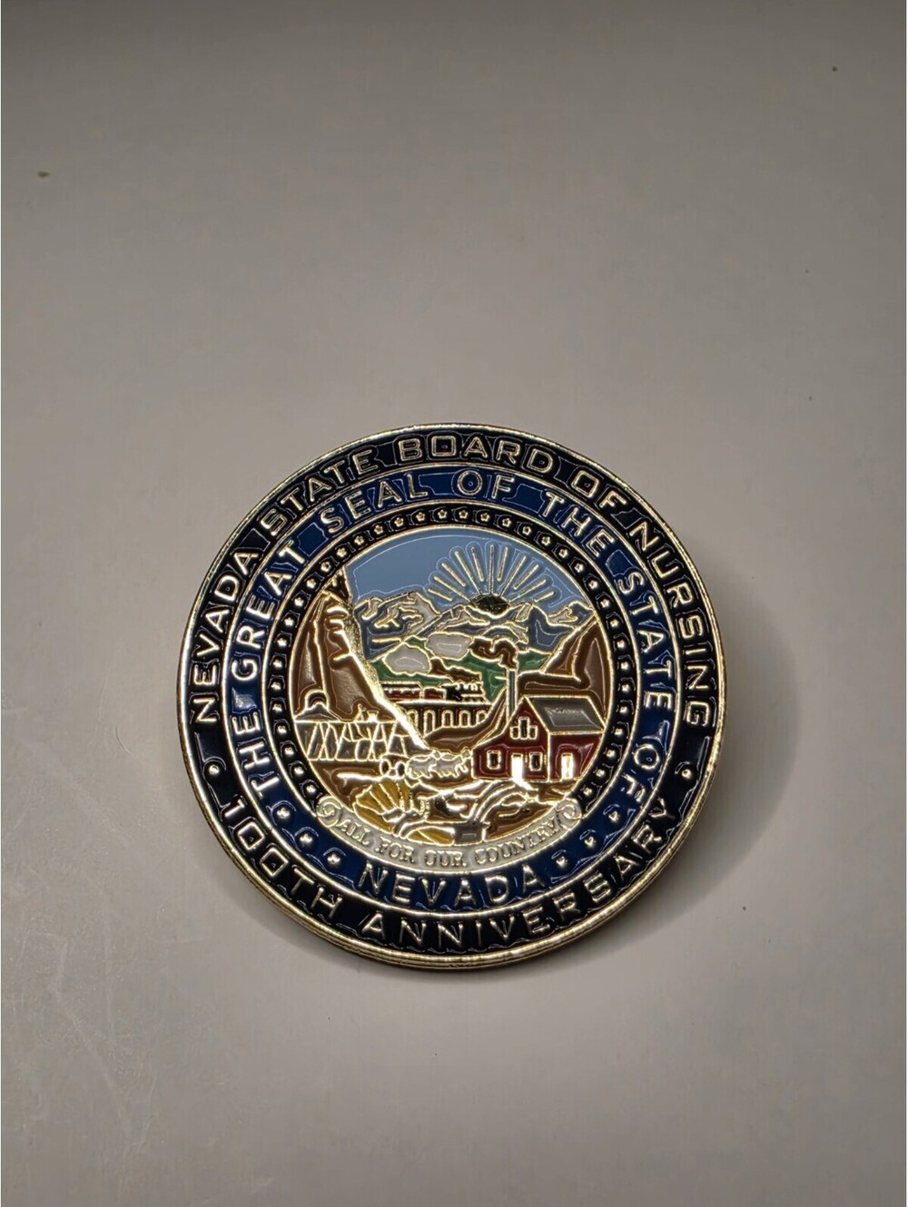 Nevada Board Of Nursing 100th Anniversary Pin